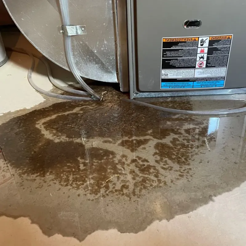 Pipe Burst and Leak Restoration in Morris Park, NY